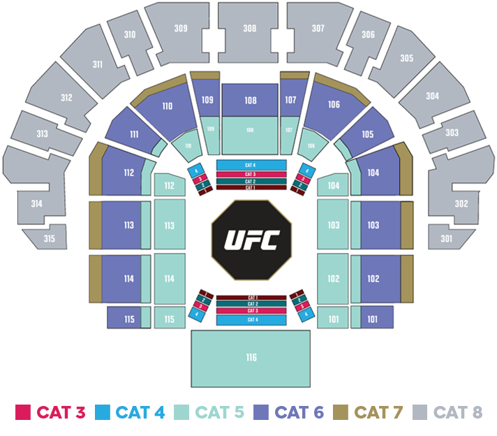 UFC321SM